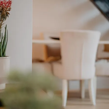 Frost Apartment